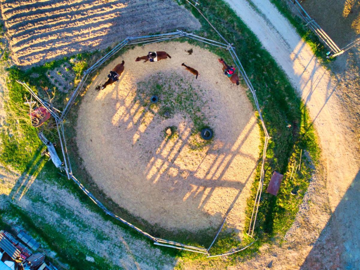 Gospodarstwo Agroturystyczne "Paryja" Olpiny Kültér fotó